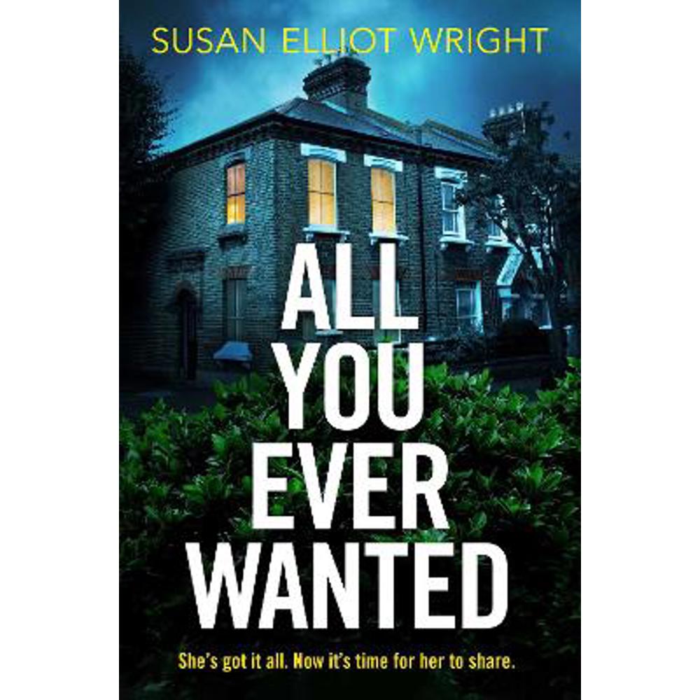 All You Ever Wanted (Paperback) - Susan Elliot Wright